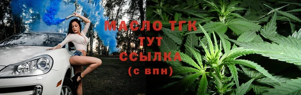 МДПВ Бородино